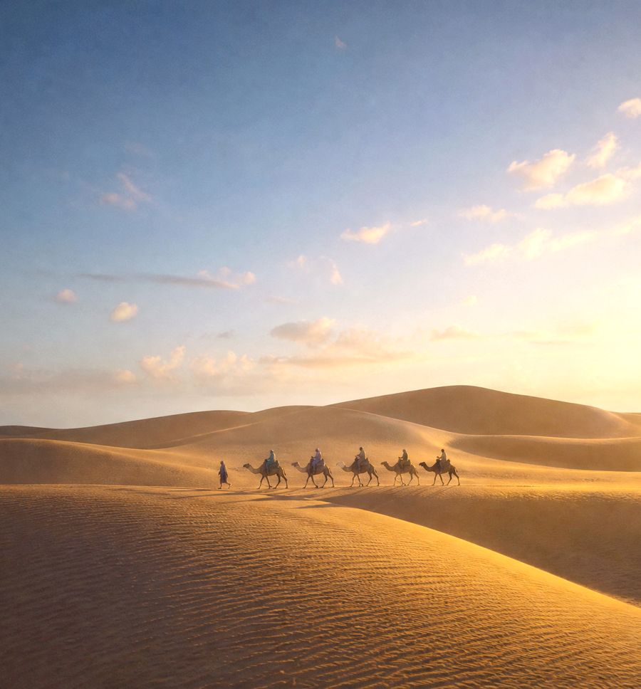 Caravane de dromadaires dans les dunes du Sahara au coucher du soleil