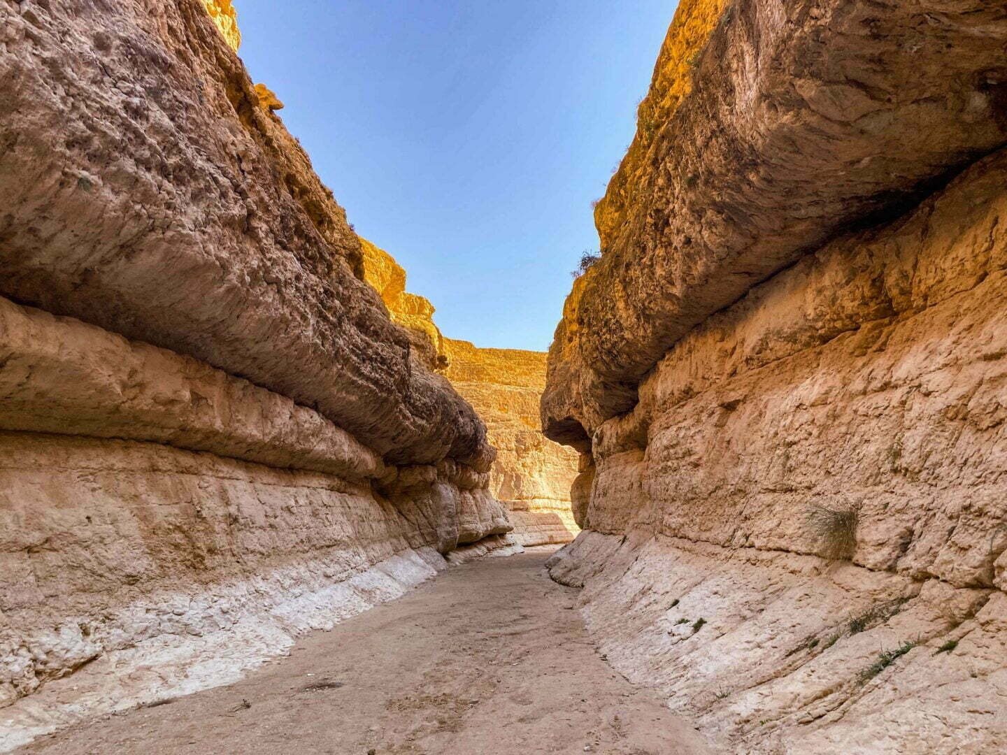 Des oasis au Sahara, à votre rythme — photo 6