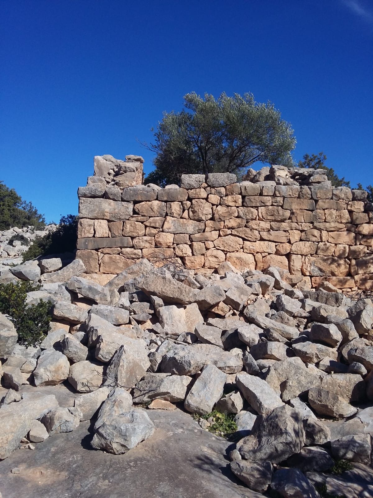 Randonnée au Djebel Oueslat : peintures rupestres et village berbère — photo 6