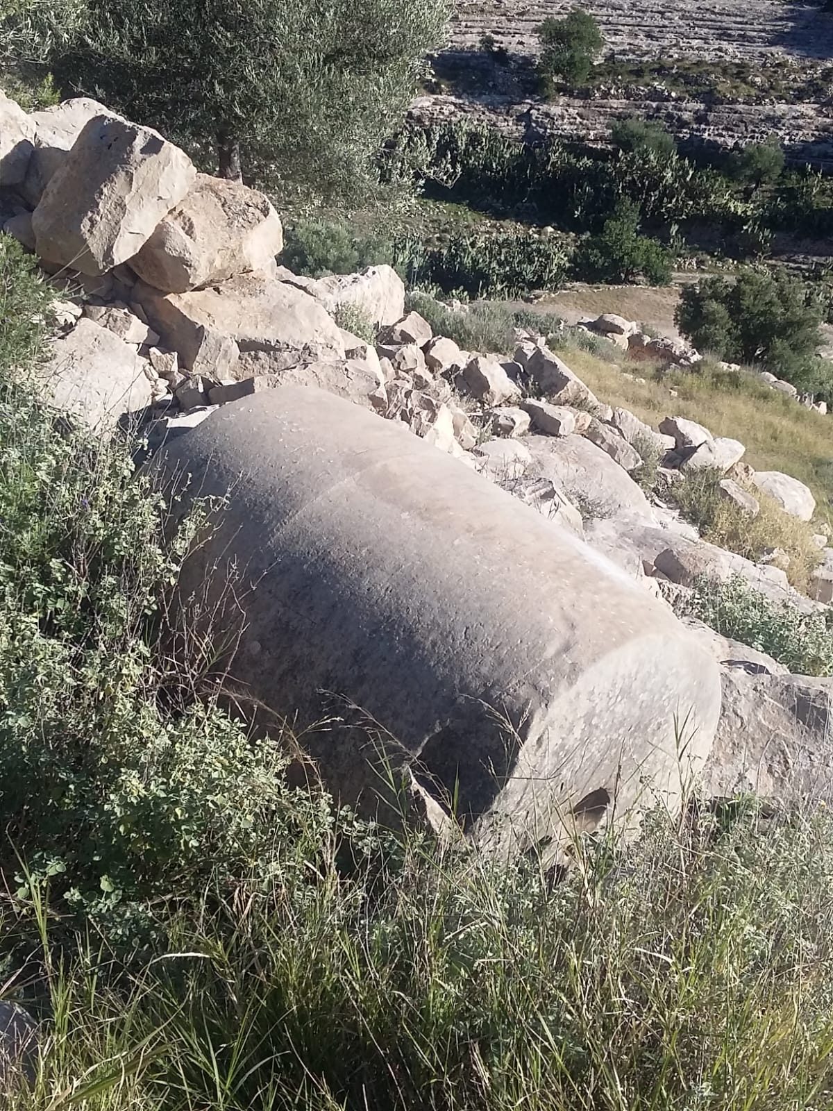 Randonnée au Djebel Oueslat : peintures rupestres et village berbère — photo 16