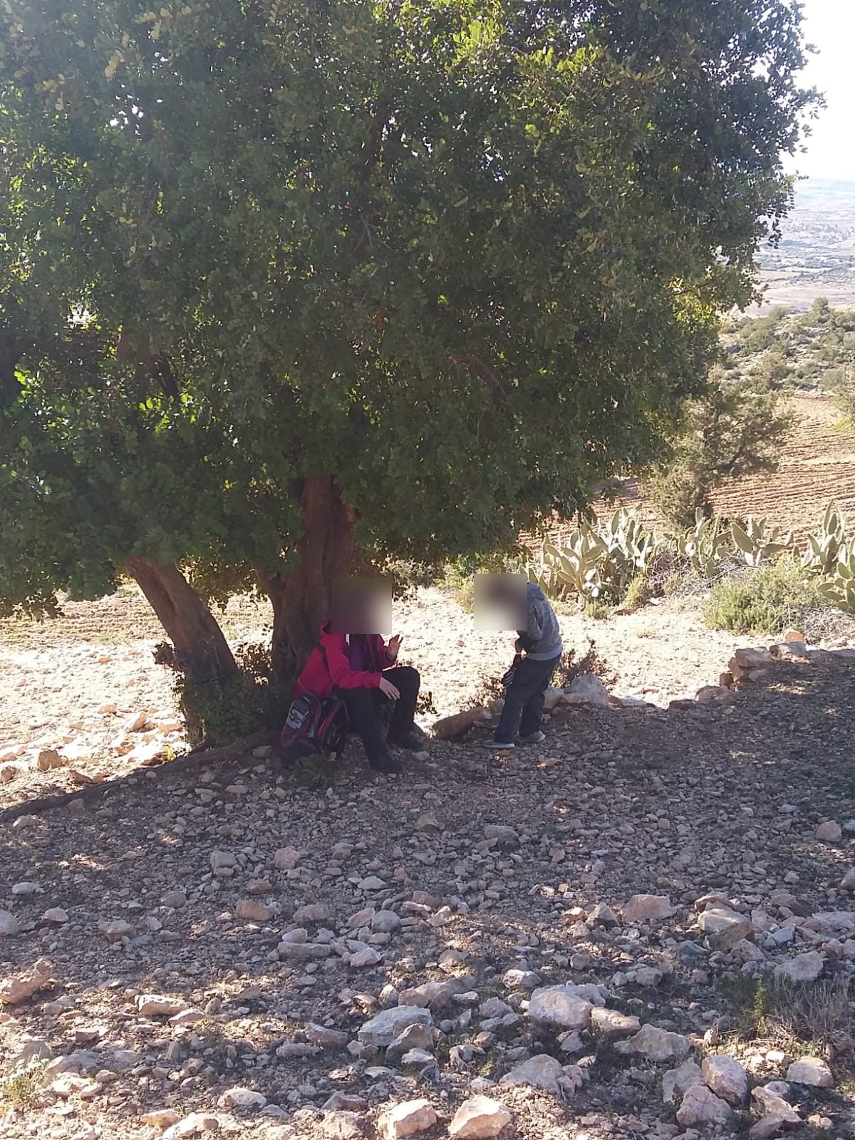 Randonnée au Djebel Oueslat : peintures rupestres et village berbère — photo 4