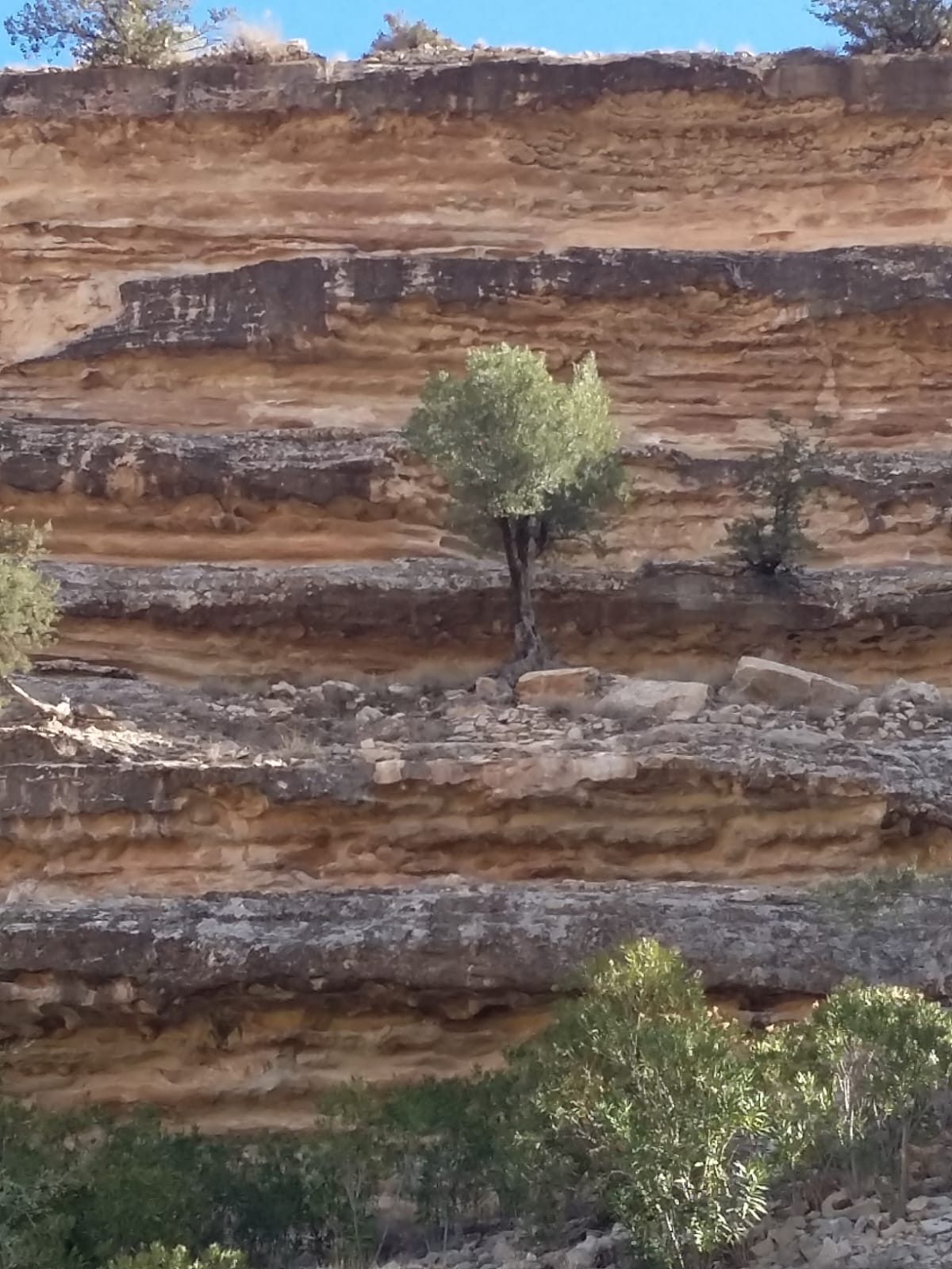 Randonnée au Djebel Oueslat : peintures rupestres et village berbère — photo 10