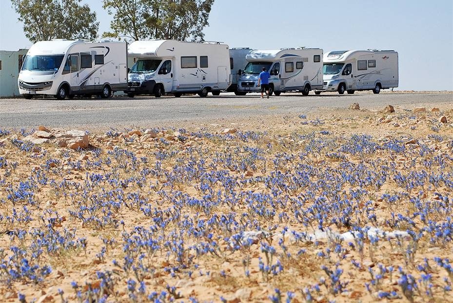 Tour de Tunisie en camping-car — 15 jours — photo 4