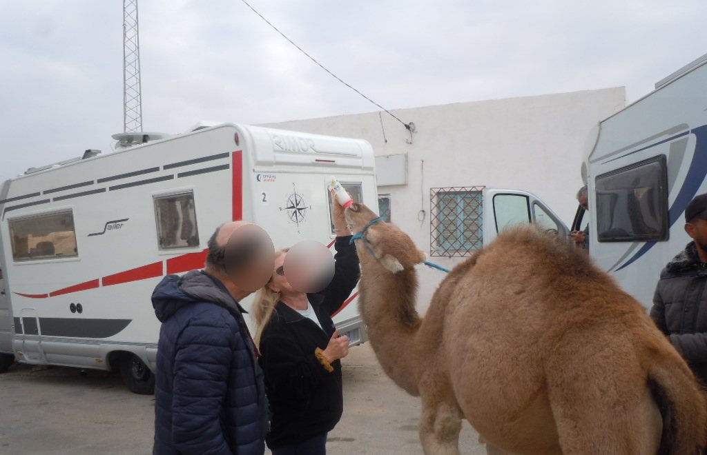 Tour de Tunisie en camping-car — 18 jours — photo 14