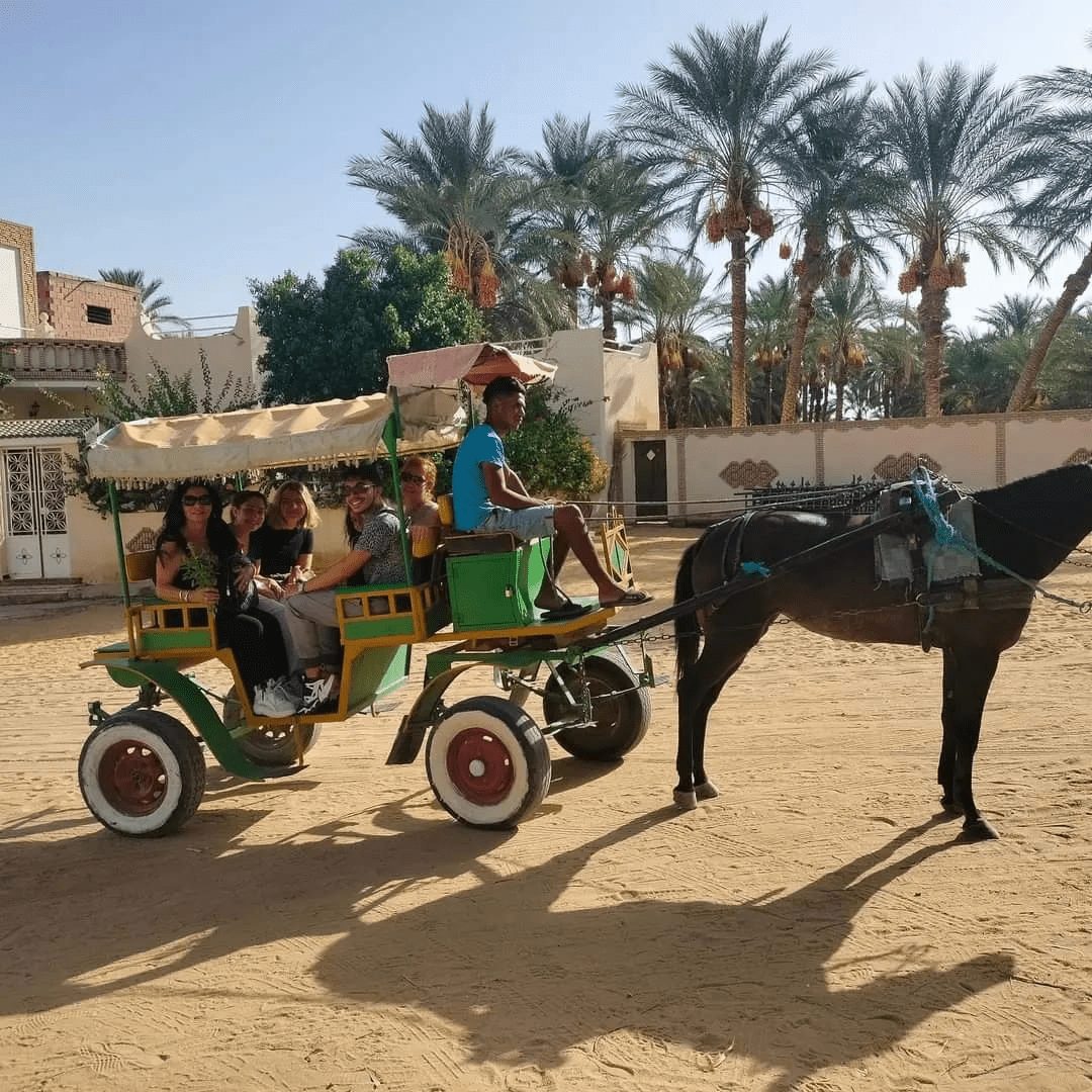 Le Grand Sud tunisien en 8 jours — photo 8